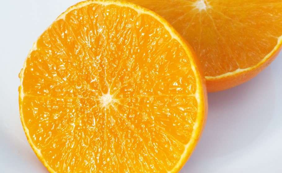 西宇和で採れる柑橘 | 農ぷらす愛媛株式会社